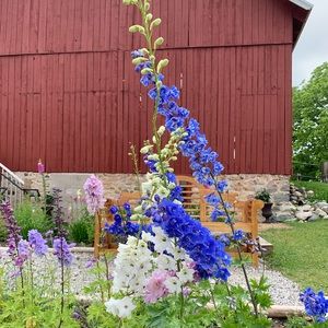 CLOSET SELLOUT SALE! Make an offer.